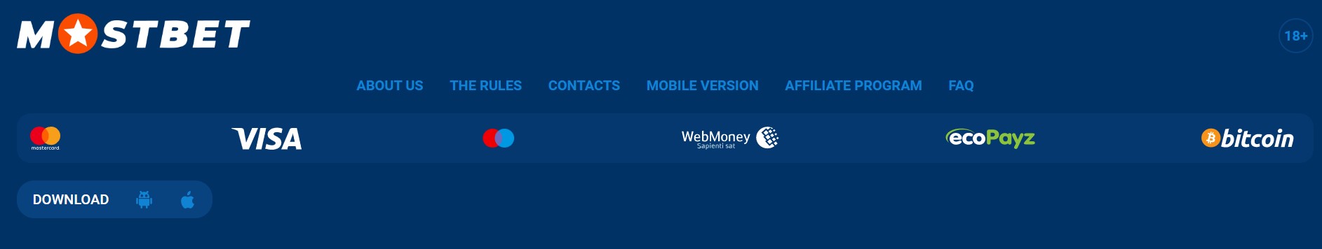 Katere plačilne metode so na voljo v spletni igralnici